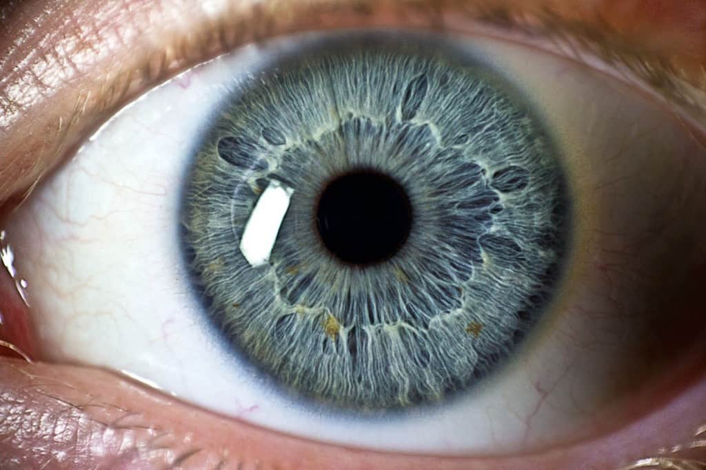 20 Interesting Facts About The Eyes - Page 2 of 5