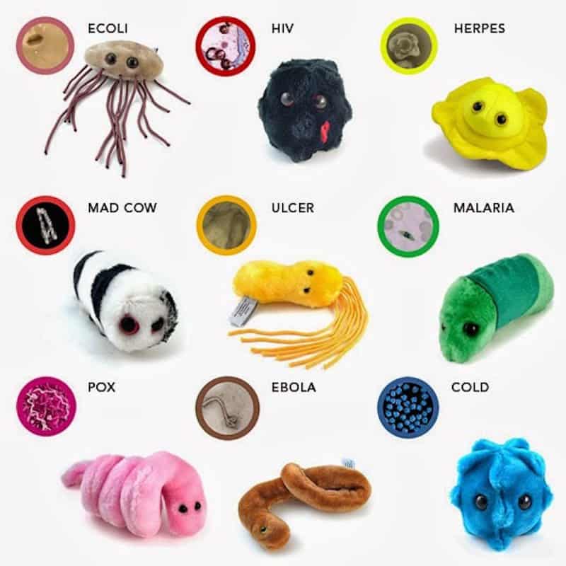 std plush toys