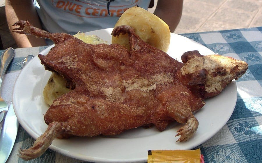 10-deep-fried-foods-that-may-gross-you-out