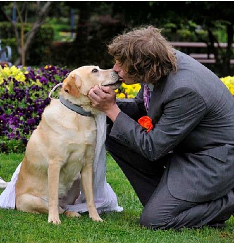 Свадебное фото с собакой