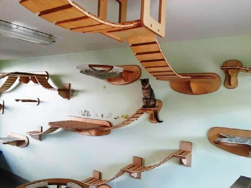 10 Awesome Furniture Designs That Every Cat Will Love